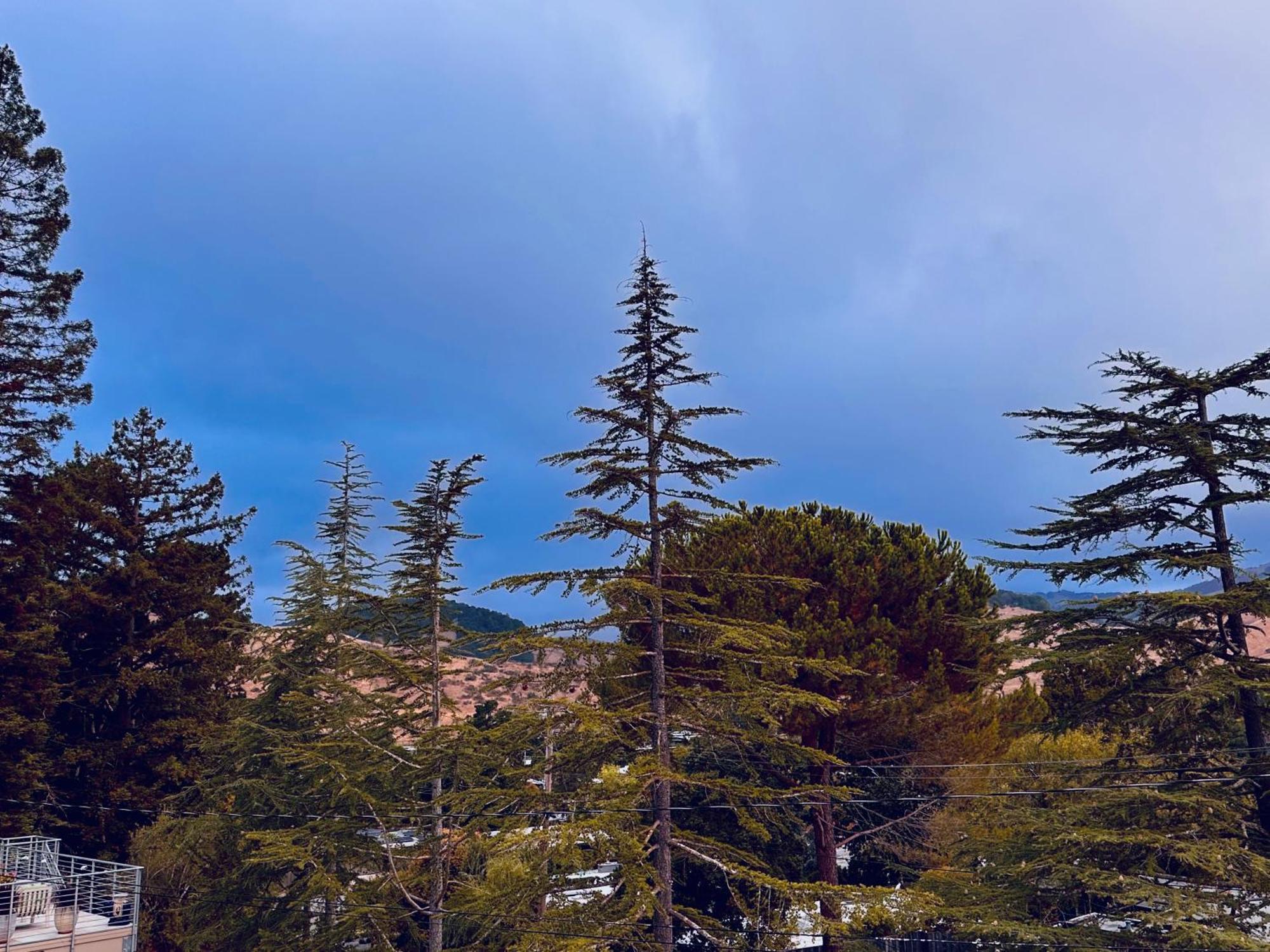 Luxury Suite With Views - San Rafael, Gateway To Sf & Wine Country Экстерьер фото